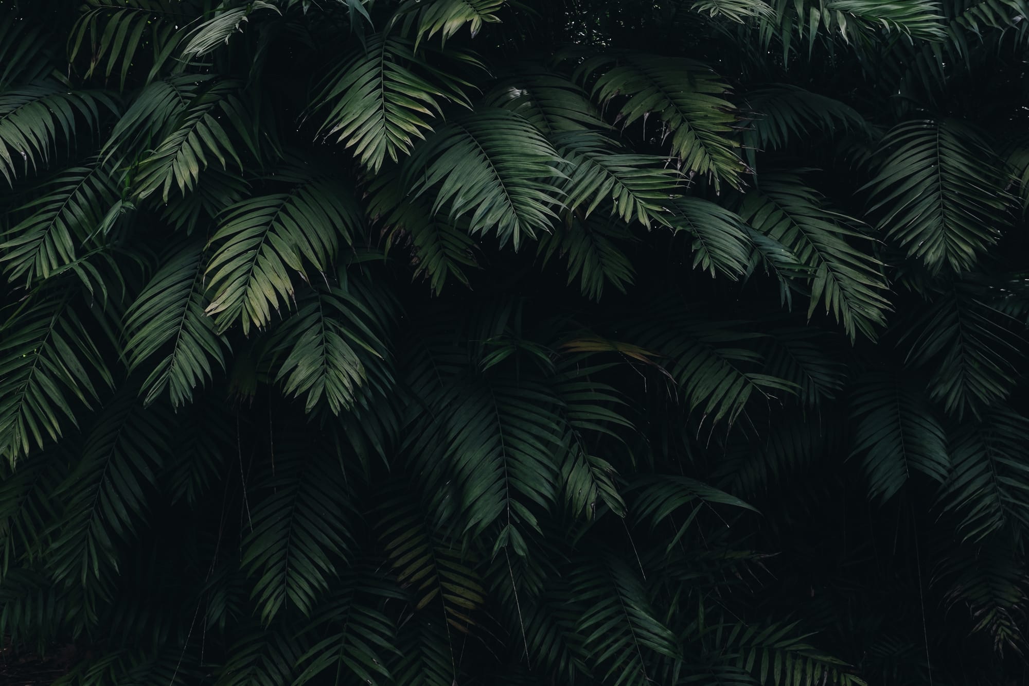 Harduex blog